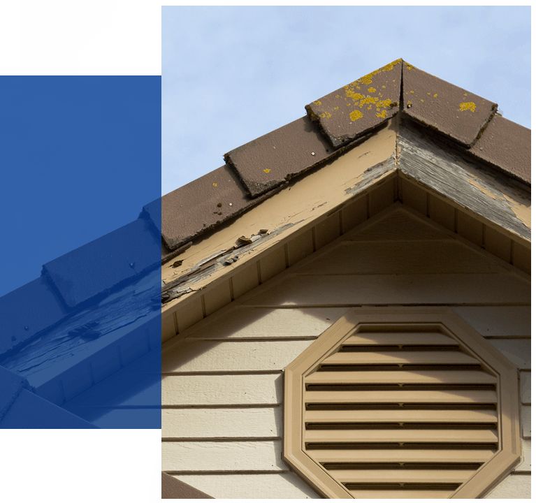 Roof Wood Rot